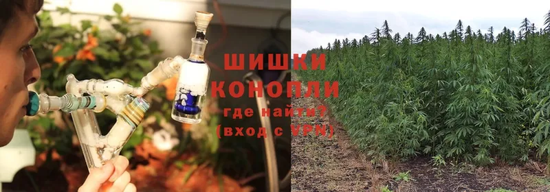 МАРИХУАНА THC 21%  ОМГ ОМГ как зайти  Борзя 